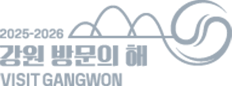 강원방문의 해